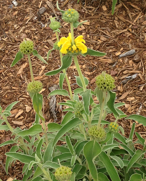 548