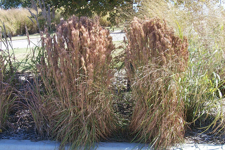 26