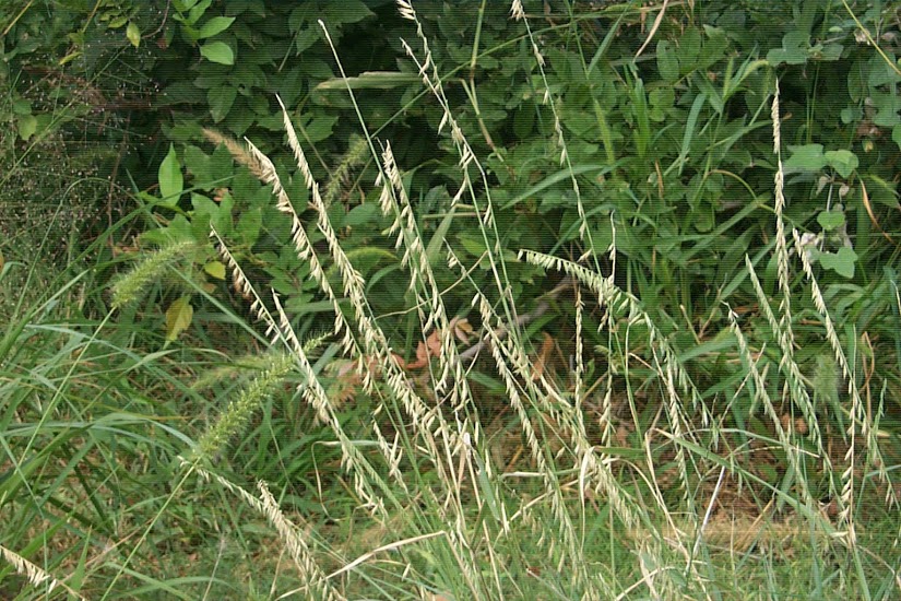 53